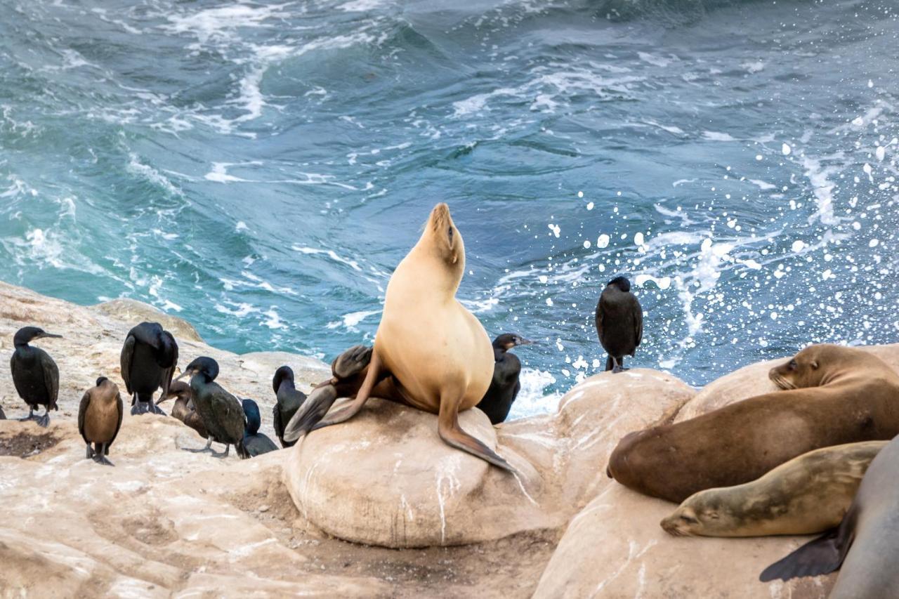 La Jolla Cove Suites San Diego Luaran gambar